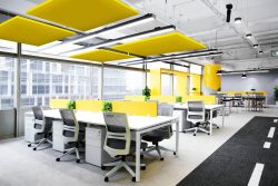 Продукция Akustiline Ampir Baffle Color (2,4x1,2м) в Москве